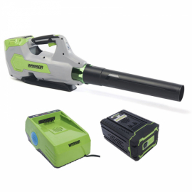 Souffleur de feuille électrique à batterie univers du pro