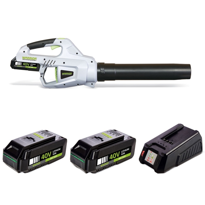 Souffleur à batterie avec 2 batteries et chargeur Warrior au meilleur prix.