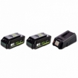 Pack de batterie et chargeur pour souffleur de feuilles sans fil 40V Warrior.