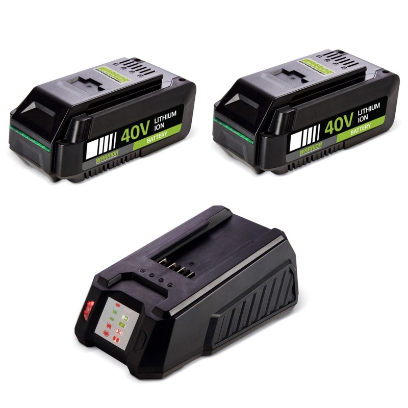Lot de batterie lithium pour outils de jardin warrior.