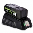 Chargeur pour outils motorisés Warrior. Chargeurs de batteries 40V au meilleur prix.